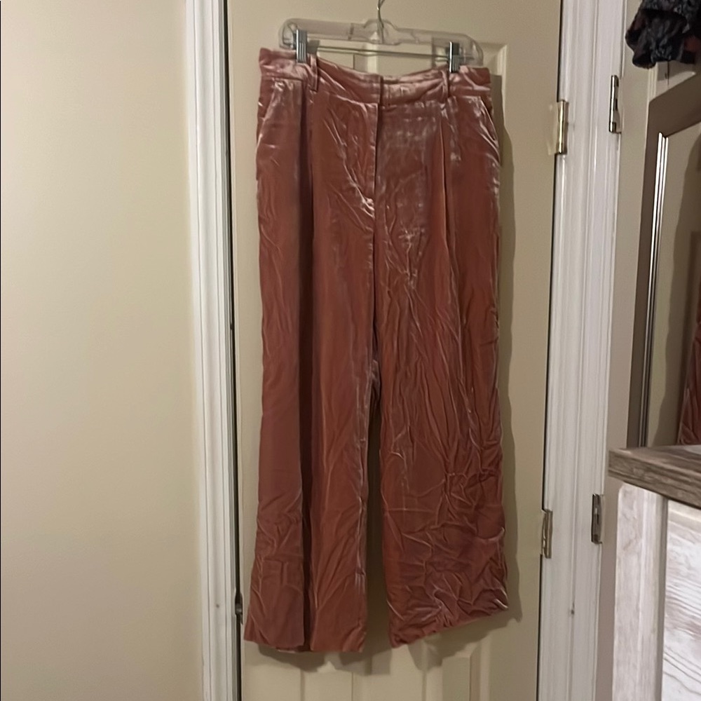 LOFT Elegant Women’s Dress Pants Shell Color Size 12P